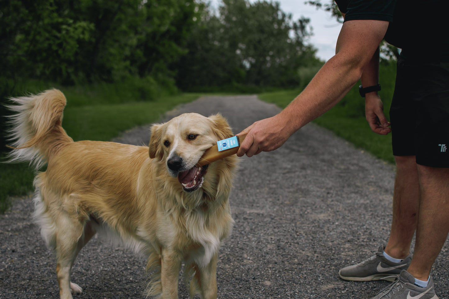 Extra Large Yeti Chew (Over 55lb)