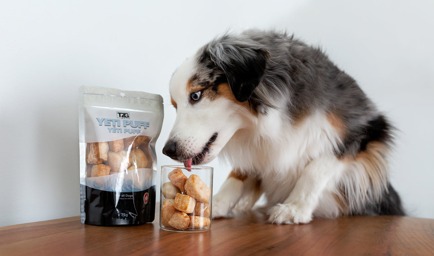 Dog Eating Yeti Puffs