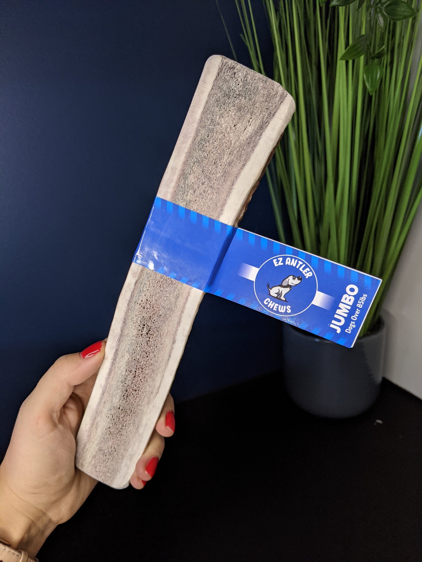 XL Elk Antler Chews (Over 85lb)