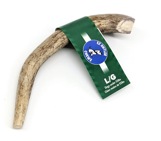 Large Deer Antler Chew (Under 55lb)