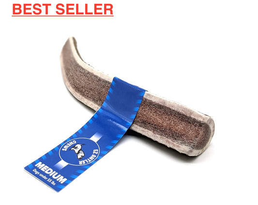 Medium Elk Antler Chew (Under 55lb)