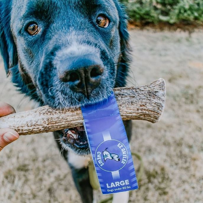 Large Elk Antler Chew (Under 80lb)