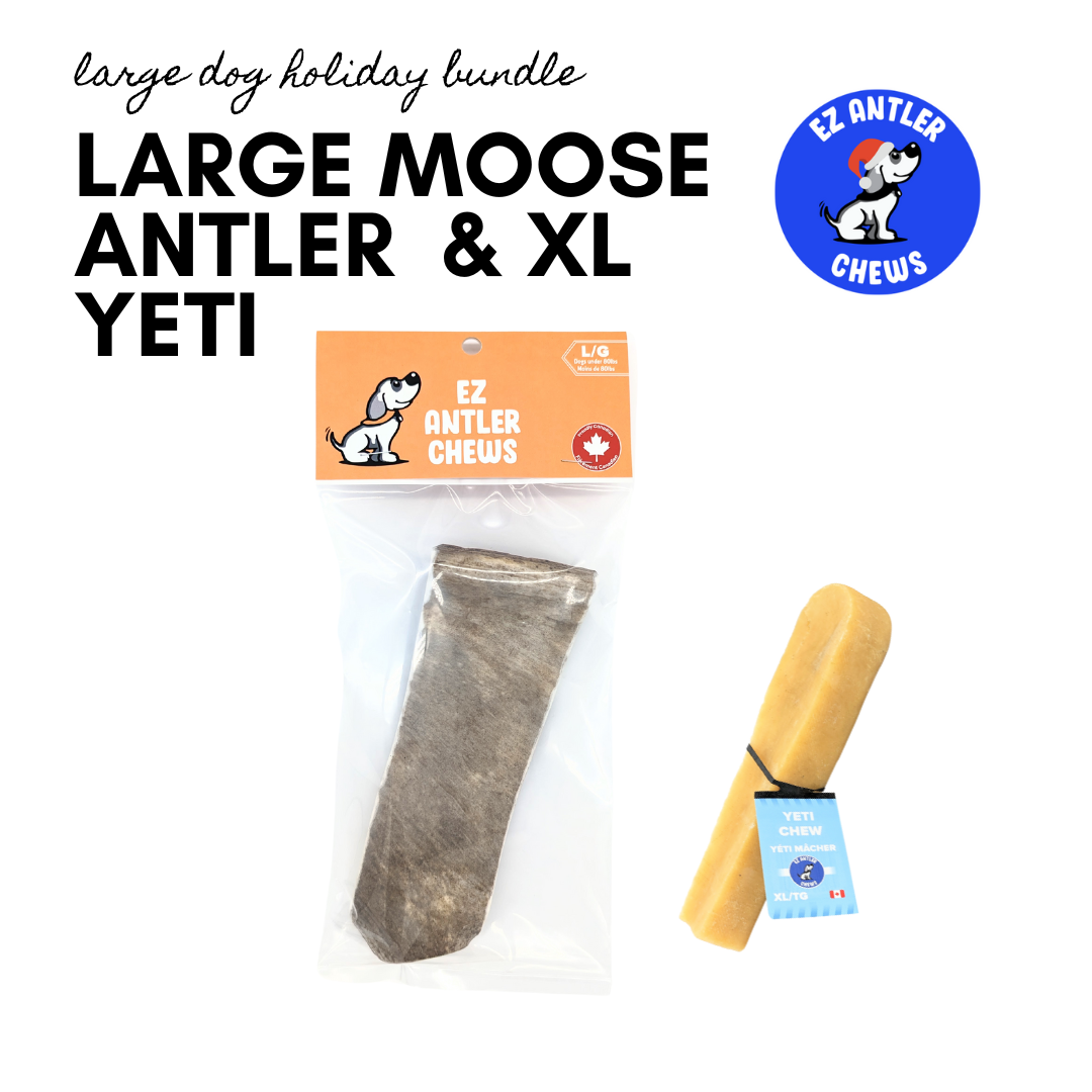 Large Dog Holiday Bundle (Dogs Over 55lbs)