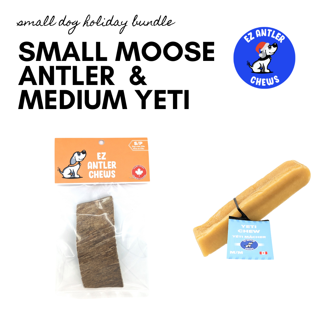 Small Dog Holiday Bundle (Dogs Under 35lbs)