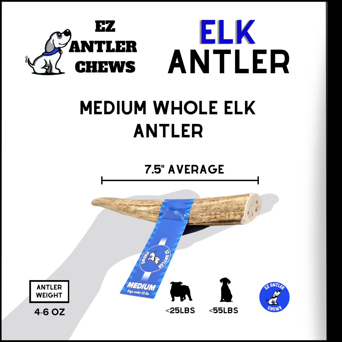 Medium WHOLE Elk Antler Chew (Under 55lb)