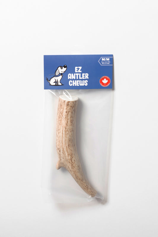 Medium WHOLE Elk Antler Chew (Under 55lb)