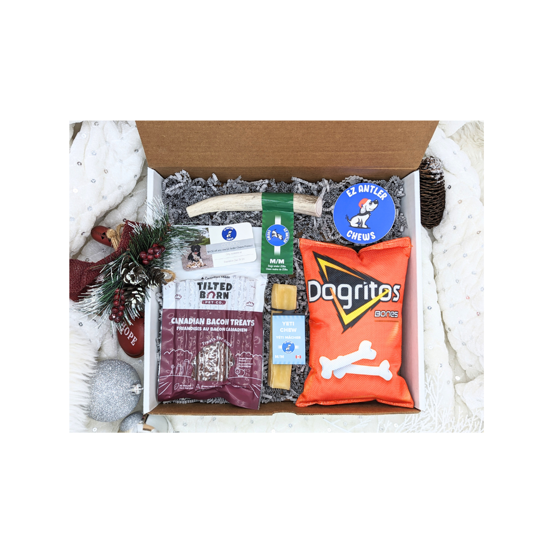 (WHS) Small Dog Christmas Box