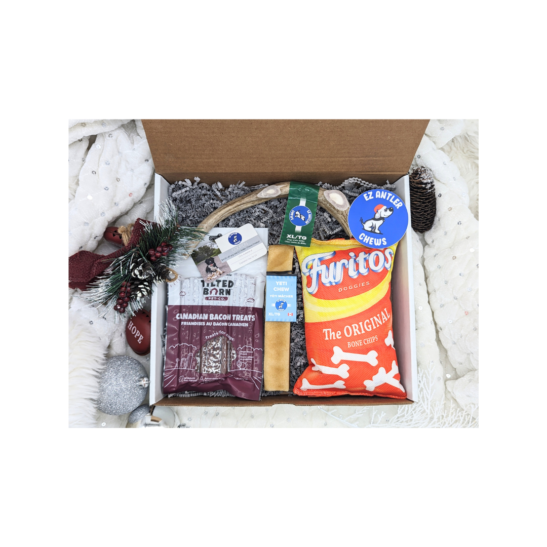 (WHS) Large Dog Christmas Box