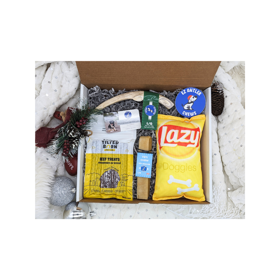 (WHS) Medium Dog Christmas Box