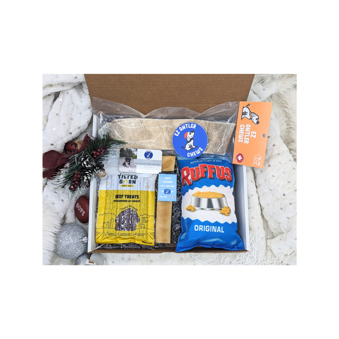 (WHS) Extra Large Dog Christmas Box