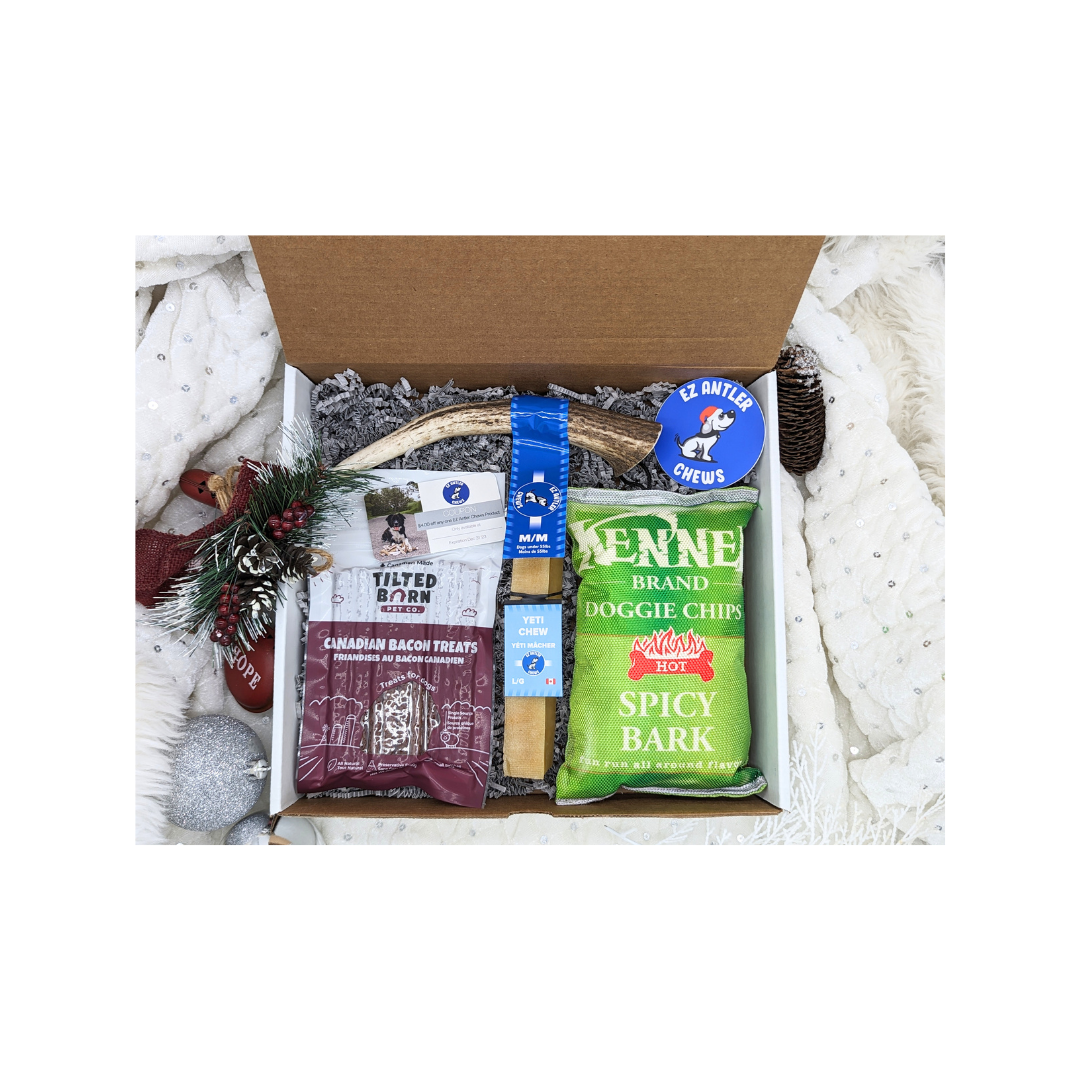 (WHS) Medium Dog Christmas Box