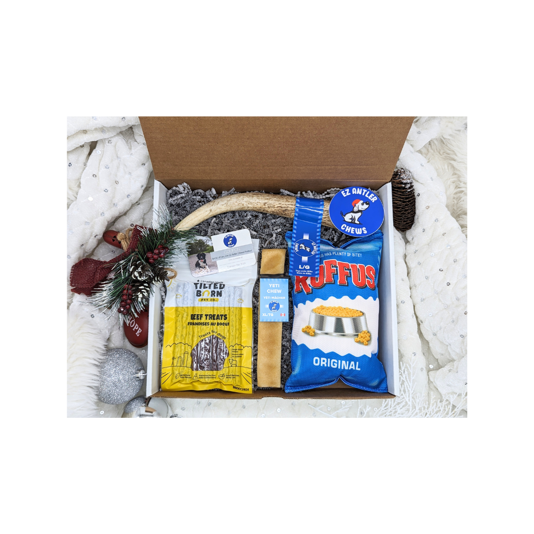 (WHS) Large Dog Christmas Box
