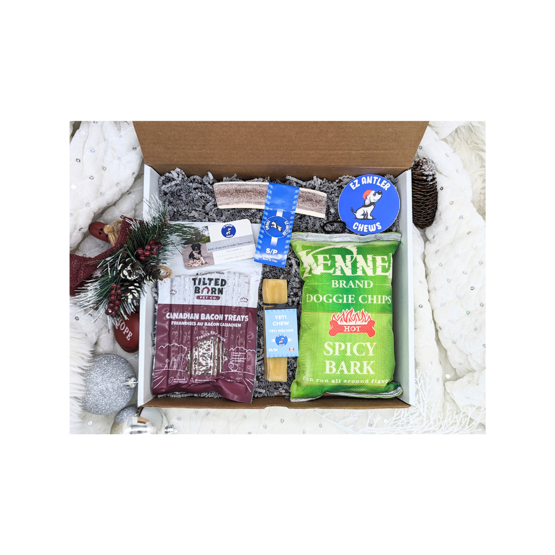 (WHS) Small Dog Christmas Box