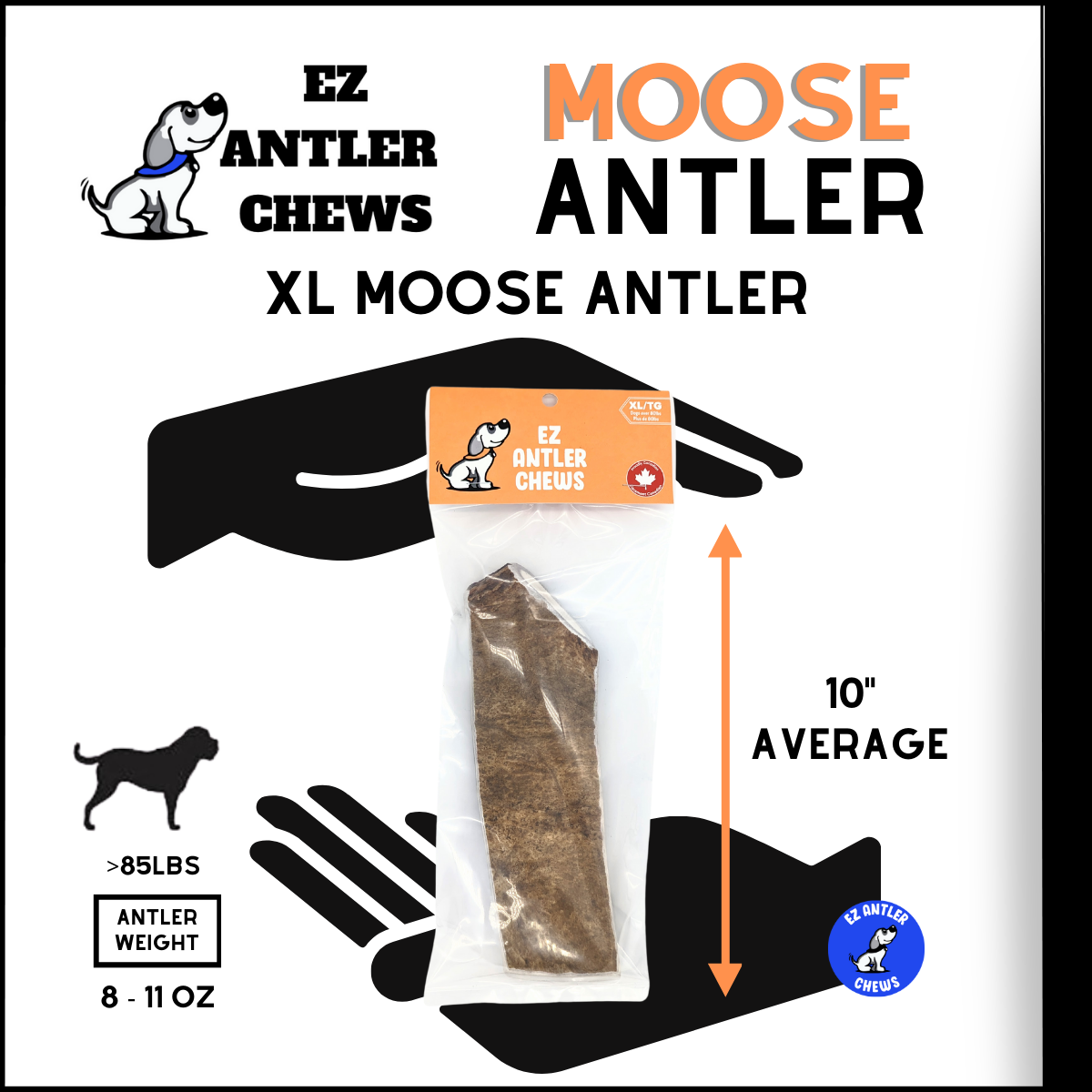 XL Moose Antler Chew (Over 80lb)