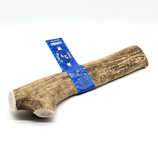XL Elk WHOLE Antler Chews (Over 85lb)